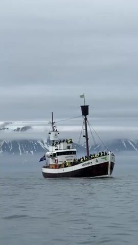 A traditional-style boat, likely a tour vessel named "NÁTTFARI" from "HÚSAVÍK," sails across calm, dark grey waters. The boat has a dark wooden hull with a white upper deck and superstructure, and features a prominent mast with a crow's nest or lookout barrel, topped with a green flag. Another smaller green flag is near the bow, and an Icelandic flag flies from the stern.

Numerous passengers are visible on the open decks, many wearing yellow or green outerwear, suggesting an outdoor excursion. They appear to be looking out towards the scenery. A gentle wake trails behind the moving boat.

In the background, rugged, dark mountains rise majestically, their peaks and upper slopes partially obscured by low-hanging clouds or mist. Patches of snow or ice are visible on the mountain sides, indicating a cold climate. The sky above is uniformly overcast and light grey, suggesting a cloudy daytime. The scene depicts an active boat tour amidst a dramatic and serene natural landscape in Iceland.