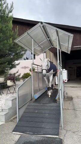 A white horse wearing a dark blue blanket and leg wraps is walking on an outdoor treadmill. The treadmill has a metal frame, transparent roof panels, and a black moving belt. A ramp with a black surface leads up to the treadmill from the foreground. To the left of the treadmill is a small tiered set of steps, green foliage, and a light-colored building in the background with "WILLKOMMEN" visible on its facade. To the right, another building and what appears to be a trailer are visible in the distance. The sky is overcast.