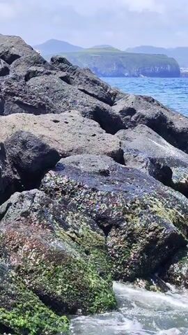 The video shows a rocky shore with an island in the distance. The rocks are large and jagged, and some are covered in moss and barnacles. The water is a clear blue-green, and small waves are lapping against the rocks. The sky is a pale blue with some clouds. The video is taken at eye level and is relatively stable.