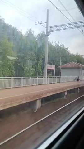 A train moves past a small, sparsely populated train station platform. A simple, low-slung building with a red-tiled roof sits on the platform, with two people sitting on a bench outside it. Further down the platform, two more people are visible. Green trees and a cloudy sky are visible beyond the station. The train then passes another section of the platform with blue bins and a dog, followed by a railway crossing with a barrier. The perspective then shifts to the interior of the moving train, showing the reflection of trees and buildings in the window, and a passing red train.