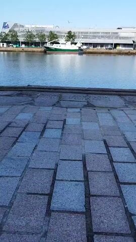 The video shows a body of water with a building and a boat in the background. The foreground is a stone-paved walkway. The sky is clear and blue. The lighting suggests it is daytime, likely morning or afternoon.