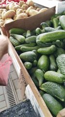 Market activity recorded in Simferopol, Ukraine