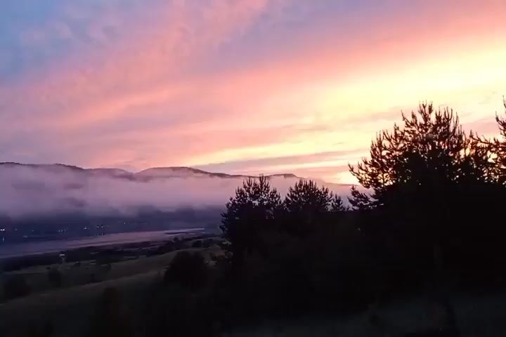 The video captures a scenic landscape at sunrise or sunset. The sky is filled with vibrant colors, predominantly shades of pink, purple, and yellow, with some wispy clouds. In the foreground, silhouetted pine trees create a dark, textured contrast against the colorful sky. In the background, distant hills are partially obscured by a layer of soft fog or mist, and a body of water, possibly a lake or river, is visible in the valley. The overall atmosphere is serene and tranquil.