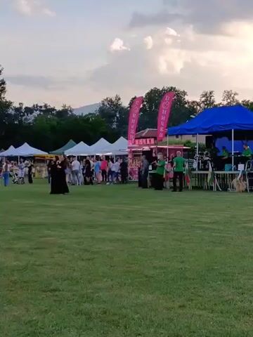 A wide shot captures an outdoor festival at dusk. In the foreground, a large expanse of green grass dominates the scene. In the midground, a diverse group of people gathers around several white tents, which appear to be market stalls. A few individuals walk across the grass in the foreground. Towards the right, a blue tent shelters a small stage where musicians perform. Two prominent pink banners with a circular logo stand tall near a food truck. The background features a line of trees and distant hills under a sky with scattered clouds, indicating the transition from day to night. The overall atmosphere appears lively and celebratory, with the music adding to the festive mood.