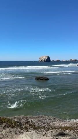 A vertical video shows a scenic ocean view. The camera is positioned at a slight elevation, looking out over a body of water with gentle waves. In the foreground, there is a rocky shoreline, covered in moss and lichen. The water is a murky green color and appears relatively shallow near the shore. Several rock formations are visible in the ocean, with a larger, more prominent rock formation in the middle distance. The sky is a clear, bright blue with no clouds. The scene conveys a sense of natural beauty and tranquility.