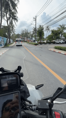 Motorcyclist takes selfie on palm-lined road in Thailand
