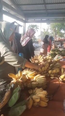 The video shows an outdoor market scene with several people. In the foreground, a woman wearing a hijab is sorting through a large pile of bananas. The bananas are of various ripeness, with some green and some yellow. The woman is holding a bunch of bananas and examining them. Behind her, other people are also present, some wearing hijabs. In the background, there are stalls with produce and other items. The market appears to be covered by a corrugated metal roof, suggesting it is a covered market or an open-air market with some shelter. The overall lighting suggests it is daytime. The focus is on the woman and the bananas, with the other people and the environment providing context.