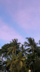 Tropical sunset documented across Kuta Selatan, Indonesia