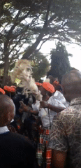 Cultural gathering draws crowds to indoor, outdoor venues in Onitsha