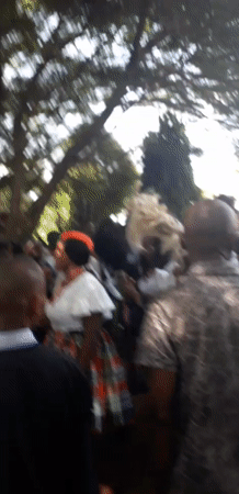Cultural gathering draws crowds to indoor, outdoor venues in Onitsha