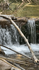 Rural Catalunya documented: streams, vineyards, horses in Sant Martí Sarroca