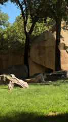 Zoo animals observed across multiple enclosures in Valencia area
