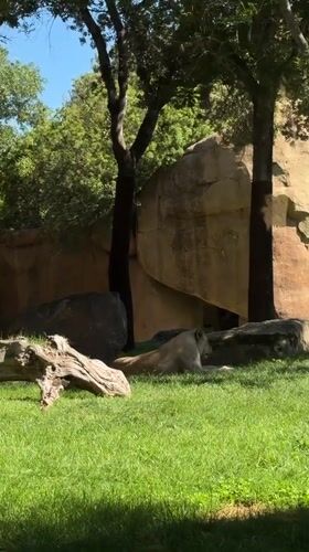 Zoo animals observed across multiple enclosures in Valencia area