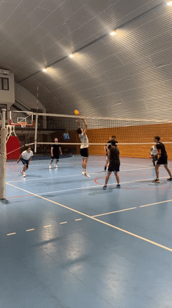 Casual volleyball game in Montenegro gymnasium results in player injury