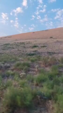A low-angle shot moves through a grassy hill. The hill is covered in dry grass and scattered green bushes. The sky above is a pale blue with scattered white clouds. The sun appears to be low in the sky, casting a warm light on the landscape.