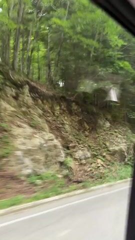 The video shows a view from inside a vehicle, likely a van or bus, looking out the side window. The landscape outside is blurry due to motion, suggesting the vehicle is moving. The scenery consists of a roadside with lush green trees and foliage covering a sloping hill. The sky is overcast, casting a soft light on the scene. Inside the vehicle, the interior is partially visible, including the ceiling with air vents and lights, and a yellow smiley face charm hanging from the side. Another passenger's blonde hair is visible in the foreground. The camera is positioned to capture both the exterior view and a glimpse of the interior.