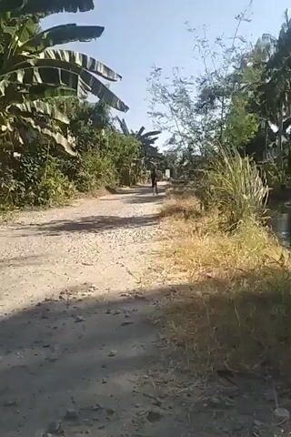 A person is visible in the distance on a dirt road, walking away from the camera. The road is flanked by lush vegetation, including large banana leaves and tall grasses. The sky is clear and blue, suggesting a sunny day. The scene appears to be in a rural or tropical setting.
