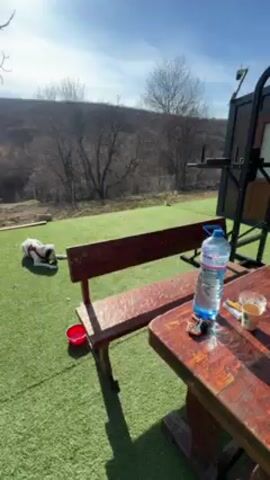 The video shows a sunny outdoor setting, possibly a backyard or garden, with a focus on relaxation and nature. In the foreground, there's a wooden table and bench on artificial turf. A water bottle, a coffee cup, and other small items are on the table. A dog, wearing a harness, is lying down nearby. Beyond the immediate area, there is a view of trees, hills, and a bright blue sky. A white car drives by a gate, and the sun shines brightly through the bare branches of a tree.