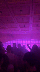 Paris nightclub scene captured under pink lighting early Thursday