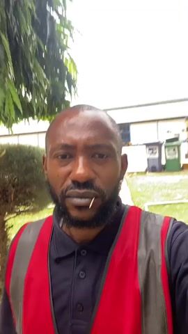 The video features a man standing outdoors, likely in a somewhat industrial or commercial area given the background. He is the central subject, wearing a dark blue polo shirt and a bright red safety vest with reflective gray stripes. He has a beard and appears to have a toothpick in his mouth.

The setting includes lush green foliage, specifically a large tree with dense leaves to the left of the man. In the background, there are buildings with large windows and a gray overhang, suggesting a facility or factory. Two large trash bins, one gray and one green, are visible near the building. The ground is paved in some areas and grassy in others, with a low red and white barrier visible to the left.

The man's facial expressions shift throughout the short clip. Initially, he looks directly at the camera with a neutral expression. As the video progresses, he begins to smile, and the toothpick seems to move slightly as his mouth forms the smile. The activity appears to be the man filming himself, possibly a selfie video or a quick message.

The lighting suggests it is daytime, with bright, diffused light that doesn't cast harsh shadows, indicating overcast or bright but indirect sunlight. There is no visible text in the media. The overall impression is a casual, daytime moment captured by the man himself in an outdoor environment adjacent to a commercial or industrial structure.