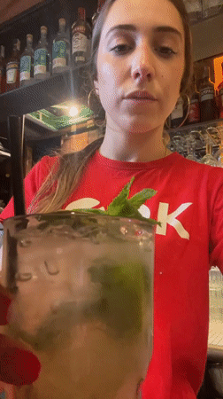 Bartender serves cocktails at Barcelona cafe as pigeon visits