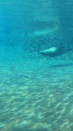 Busy day at Columbus Zoo draws crowds in Powell