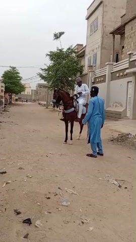 A man wearing a white outfit and a patterned kufi cap is riding a brown horse down a sandy street. Another man in a blue outfit is walking alongside the horse. The horse has a black mane and tail, and is wearing a blue saddle pad. Buildings and trees line the street, and overhead power lines are visible. The sky is overcast.