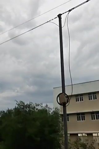 The video captures an outdoor scene on a cloudy day, likely in a developed area. The first frame shows a utility pole with wires extending upwards against a cloudy sky. A building with multiple windows and a light fixture is visible behind some trees. The subsequent frames continue to show the cloudy sky with wires stretching across the frame, and more utility poles with lights. A long building with multiple floors and windows is prominently featured, tilted in perspective. The final frames show a road and more trees in the background. There are no people or any discernible interactions depicted. The overall atmosphere is overcast and somewhat subdued.