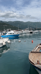 Tourist captures ordinary moments around Budva Montenegro marina and beaches