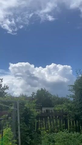 A vertical, shaky video captures a cloudy sky over a backyard. The clouds are white and fluffy, with a dark, heavy mass of clouds in the distance that may indicate an impending storm. Below the sky, green foliage, a wooden fence, and a small building are visible. The scene is well-lit by daylight.