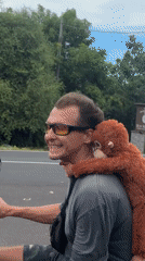 Motorcyclist spotted with plush monkey toy in Kuta Selatan
