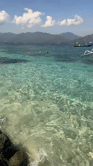 Bright Indonesian waterfront with boats, clear water, and horse-drawn carriages