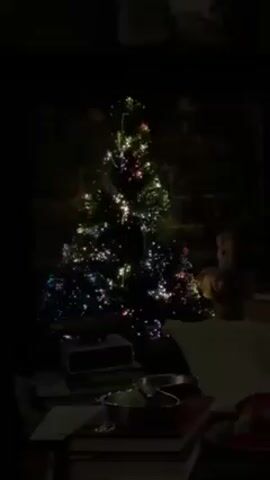 The video shows a dark room. A fiber optic Christmas tree is lit with various colors. In front of the tree is a stack of books with various objects on top of them, including a clock and a metal bowl. In the background, to the right of the tree, is a statue. There is audio of someone speaking.