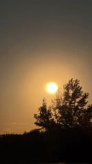 Bright sun filmed through tree silhouette in Balashikha
