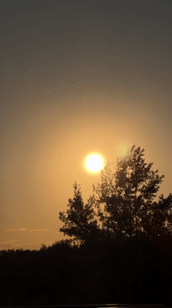 Bright sun filmed through tree silhouette in Balashikha