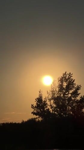 Bright sun filmed through tree silhouette in Balashikha
