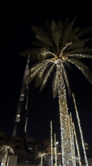 Burj Khalifa captured at night with illuminated palm trees