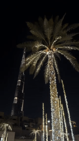 Burj Khalifa captured at night with illuminated palm trees