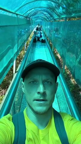 A man in a yellow t-shirt and a dark baseball cap records a selfie video while riding a transparent, greenish-blue enclosed tube slide. He is smiling at the camera, wearing backpack straps. Behind him, a woman with long hair, wearing a white t-shirt, shorts, and a blue shoulder bag, also records with a pink smartphone. She is laughing and appears excited and happy, looking towards the man's camera. Another person is visible further back on the track. The ride slopes downwards, and lush trees and foliage are visible through the transparent walls of the tunnel, indicating an outdoor, natural setting, likely during daytime under sunny conditions. Both individuals are clearly enjoying the experience.