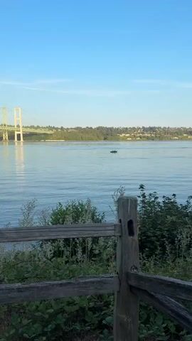A camera pans across a body of water with a small boat in the distance containing two people fishing. The boat is dark gray and silver, with a white canopy. One person is standing and holding a fishing rod, while the other is seated. The water is calm and reflects the clear blue sky. A green bridge and a wooded shoreline are visible in the background. In the foreground, a rustic wooden fence runs across the bottom of the frame, with green foliage growing around it. The sun is shining, casting a warm light on the scene.