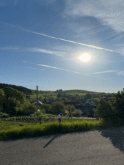 Morning moments captured in rural German village of Gangloff