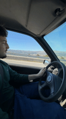 Driver spotted in Peugeot on highway near Vila Real