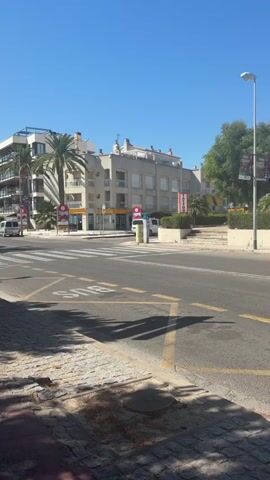 This video shows a sunny day in a coastal town. The camera pans from a street intersection with a pedestrian crossing and a bus stop to a tree-lined promenade. Palm trees and pine trees line the promenade, which has a dedicated bike lane. In the background, buildings and a beach with people relaxing can be seen. The sky is clear blue, and the sun casts shadows on the ground.