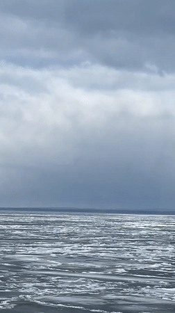 Spring ice breakup and family moment documented in Chaikovsky