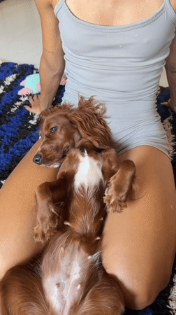 Person and dog share quiet moment on rug in Thailand