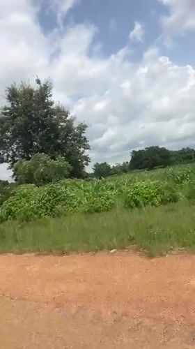 Dorowa, Nigeria