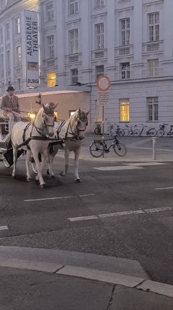 Vienna street life documented through carriages, art, hotels, transit