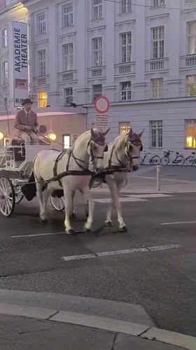 Vienna street life documented through carriages, art, hotels, transit