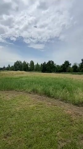 This is a vertical video recording of a grassy field with trees in the background. The field appears to be a meadow or pasture, with a mixture of green and dry grasses. Some areas have been recently mowed, as indicated by the presence of cut grass in the foreground. A line of trees forms a natural boundary at the far end of the field, with more trees and dense foliage visible to the right. The sky above is partly cloudy, with patches of blue sky interspersed with white and gray clouds. The overall impression is one of a rural, natural setting. The time of day appears to be daytime, likely late morning or early afternoon, given the brightness of the scene and the cloud cover. The weather seems to be pleasant, with a gentle breeze potentially causing the grasses to sway slightly, though this is not explicitly visible. The location is identified as Zichem, Belgium, which suggests a European landscape. There are no people or discernible objects, save for the natural elements of the environment. The video captures a still landscape, with no particular activity or event taking place beyond the natural movement of vegetation. The mood evoked is peaceful and serene. There is no visible text in the media.
