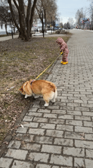 Casual photography session documented in Chaikovsky, Russia